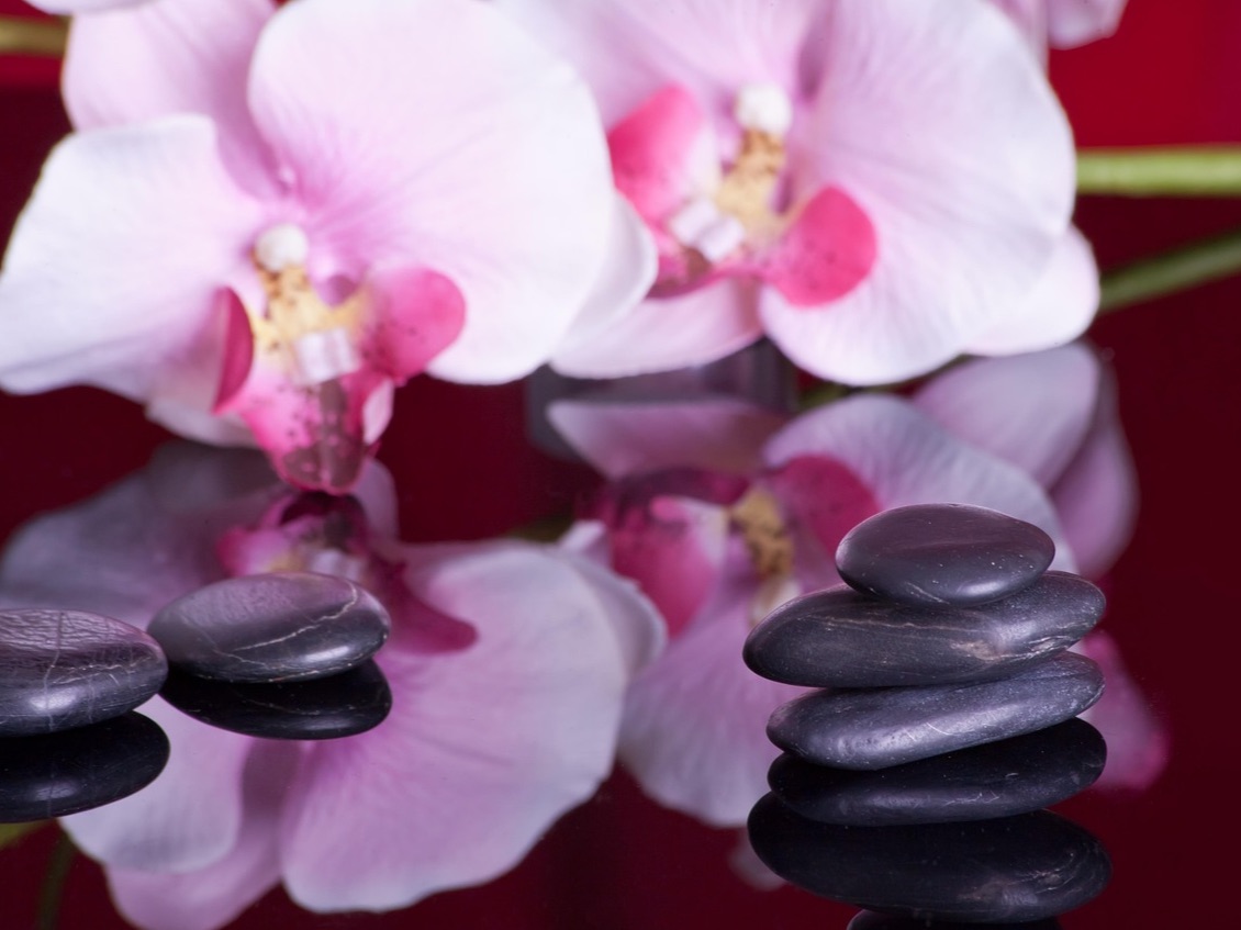 Voir les disponibilités et tarifs pour le massage thaï traditionnel à Massongex